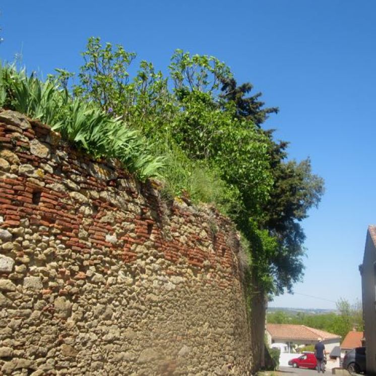 Gardouche chateau wall